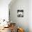 Bulldog Beauty-Charlie Neibergall-Photographic Print displayed on a wall