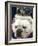 Bulldog Beauty-Charlie Neibergall-Framed Photographic Print