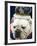 Bulldog Beauty-Charlie Neibergall-Framed Photographic Print