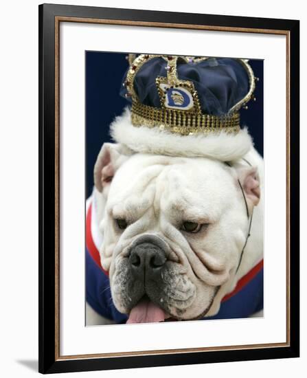 Bulldog Beauty-Charlie Neibergall-Framed Photographic Print
