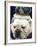 Bulldog Beauty-Charlie Neibergall-Framed Photographic Print