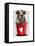 Bulldog Bucket of Love Red-Fab Funky-Framed Stretched Canvas