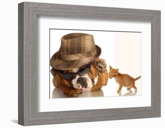 Bulldog Gangster With Kitten-Willee Cole-Framed Photographic Print