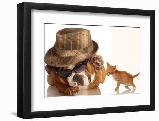 Bulldog Gangster With Kitten-Willee Cole-Framed Photographic Print