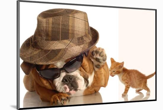 Bulldog Gangster With Kitten-Willee Cole-Mounted Photographic Print