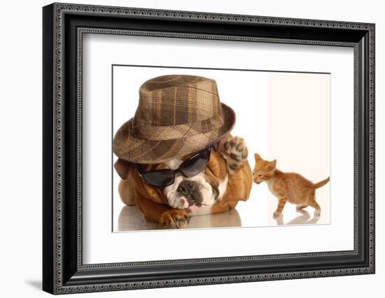 Bulldog Gangster With Kitten-Willee Cole-Framed Photographic Print