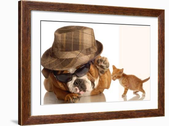 Bulldog Gangster With Kitten-Willee Cole-Framed Photographic Print