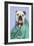 Bulldog in Vets Scrubs Wearing Glasses and Stethoscope-null-Framed Photographic Print