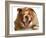 Bulldog Laughing-Willee Cole-Framed Photographic Print