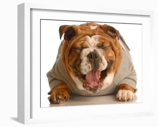 Bulldog Laughing-Willee Cole-Framed Photographic Print