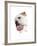 Bulldog Licking the Screen-null-Framed Photographic Print