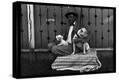 Stretched Canvas Print