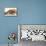 Bulldog Puppy, 11 Weeks, and Guinea Pig-Mark Taylor-Framed Premier Image Canvas displayed on a wall