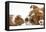 Bulldog Puppy, 11 Weeks, Face-To-Face with Guinea Pig-Mark Taylor-Framed Premier Image Canvas