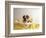 Bulldog Puppy in Miniature Bathtub-Larry Williams-Framed Photographic Print