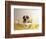 Bulldog Puppy in Miniature Bathtub-Larry Williams-Framed Photographic Print