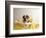 Bulldog Puppy in Miniature Bathtub-Larry Williams-Framed Photographic Print