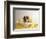 Bulldog Puppy in Miniature Bathtub-Larry Williams-Framed Photographic Print