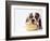 Bulldog Puppy Looking Up From His Bowl-Larry Williams-Framed Photographic Print