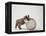Bulldog Puppy Playing with Metal Sphere-Larry Williams-Framed Premier Image Canvas