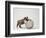 Bulldog Puppy Playing with Metal Sphere-Larry Williams-Framed Photographic Print