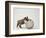 Bulldog Puppy Playing with Metal Sphere-Larry Williams-Framed Photographic Print