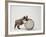 Bulldog Puppy Playing with Metal Sphere-Larry Williams-Framed Photographic Print