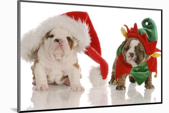 Bulldog Puppy Santa and Elf-Willee Cole-Mounted Photographic Print