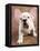 Bulldog Puppy Wearing Angel Wings-Peter M. Fisher-Framed Premier Image Canvas