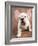 Bulldog Puppy Wearing Angel Wings-Peter M. Fisher-Framed Photographic Print