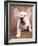 Bulldog Puppy Wearing Angel Wings-Peter M. Fisher-Framed Photographic Print