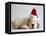 Bulldog Puppy Wearing Santa Hat-Jim Craigmyle-Framed Premier Image Canvas