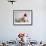 Bulldog Puppy Wearing Santa Hat-Jim Craigmyle-Framed Photographic Print displayed on a wall