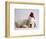 Bulldog Puppy Wearing Santa Hat-Jim Craigmyle-Framed Photographic Print