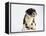 Bulldog Puppy-Jim Craigmyle-Framed Premier Image Canvas