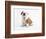 Bulldog Puppy-Peter M^ Fisher-Framed Photographic Print