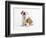 Bulldog Puppy-Peter M^ Fisher-Framed Photographic Print