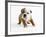 Bulldog Puppy-Peter M. Fisher-Framed Photographic Print