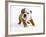 Bulldog Puppy-Peter M. Fisher-Framed Photographic Print