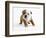 Bulldog Puppy-Peter M. Fisher-Framed Photographic Print