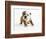 Bulldog Puppy-Peter M. Fisher-Framed Photographic Print