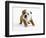 Bulldog Puppy-Peter M. Fisher-Framed Photographic Print