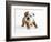 Bulldog Puppy-Peter M. Fisher-Framed Photographic Print