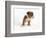 Bulldog Puppy-Peter M. Fisher-Framed Photographic Print