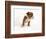 Bulldog Puppy-Peter M. Fisher-Framed Photographic Print