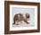 Bulldog Puppy-Jim Craigmyle-Framed Photographic Print