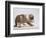 Bulldog Puppy-Jim Craigmyle-Framed Photographic Print