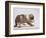 Bulldog Puppy-Jim Craigmyle-Framed Photographic Print