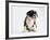 Bulldog Puppy-Jim Craigmyle-Framed Photographic Print