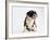 Bulldog Puppy-Jim Craigmyle-Framed Photographic Print